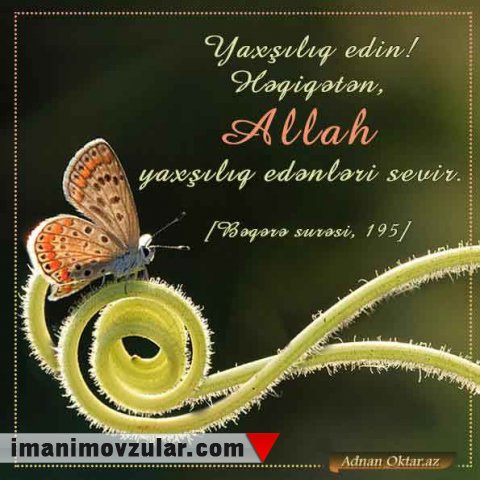 Bəqərə surəsi 195