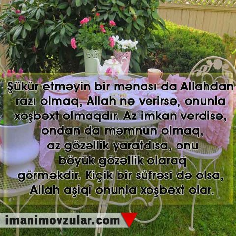 Bir gün yox, bir ömür boyu şükür etmək