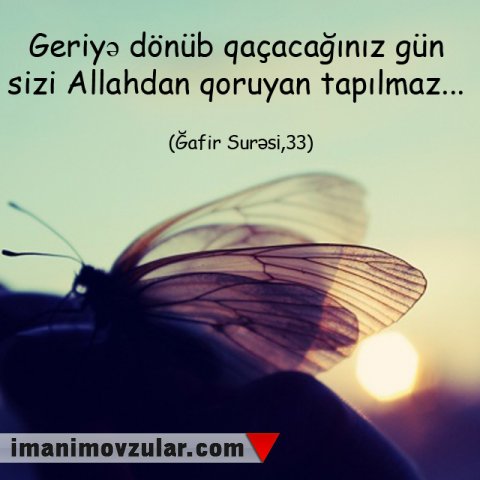 Ğafir surəsi 33