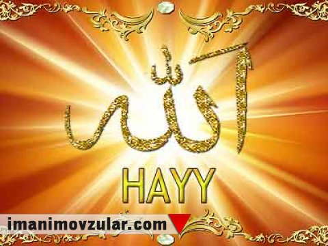HAYY - Diri, hər şeyi bilən və hər şeyə gücü çatan
