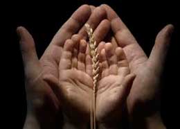 Peyğəmbərlərimiz necə dua edərdilər?